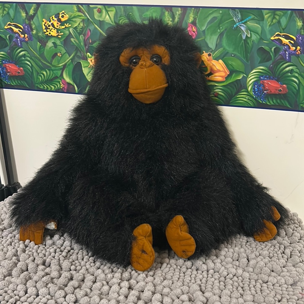 Money stuffed animal
